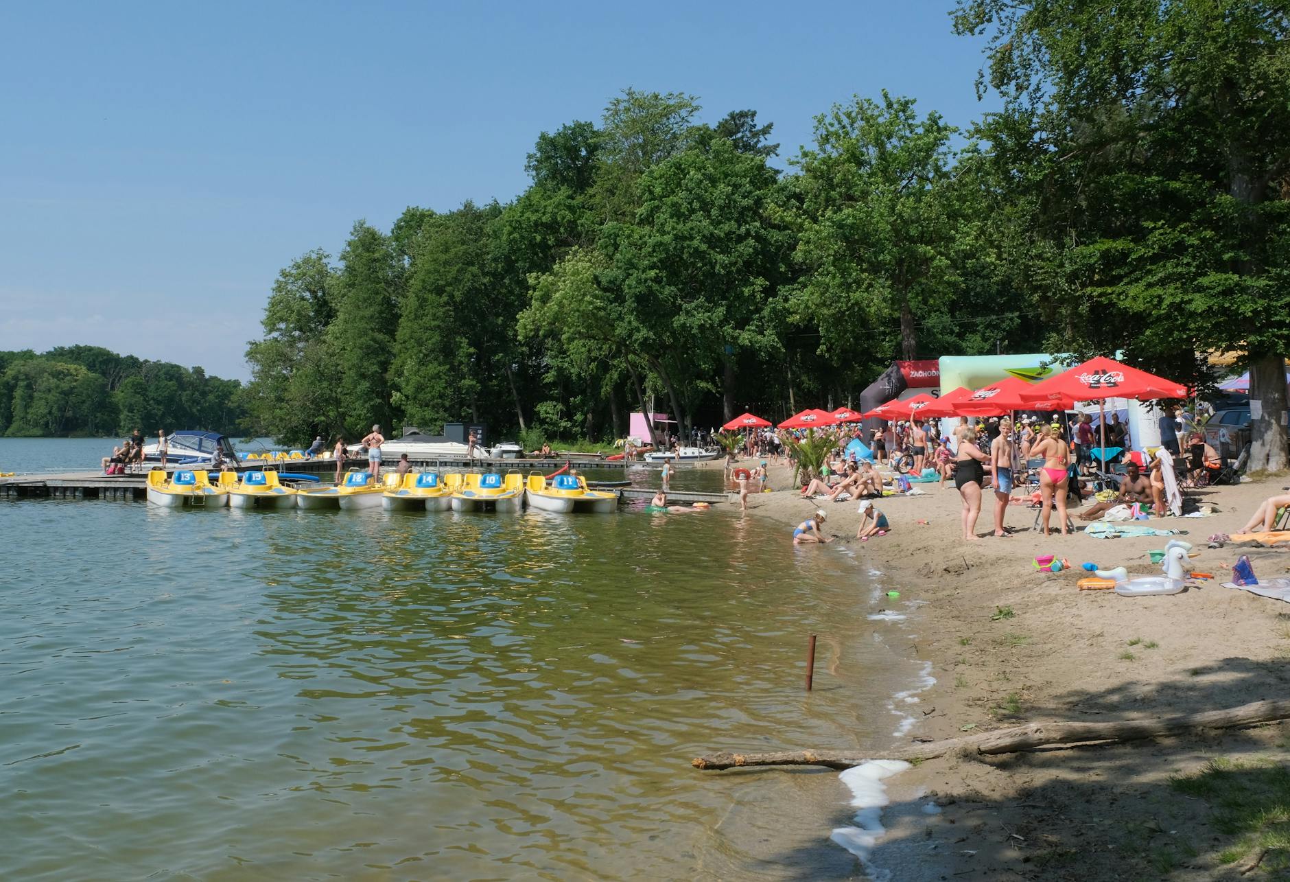 Widok na malowniczy teren zielony w Orzeszu podczas wiosennego dnia, idealny na majówkę.