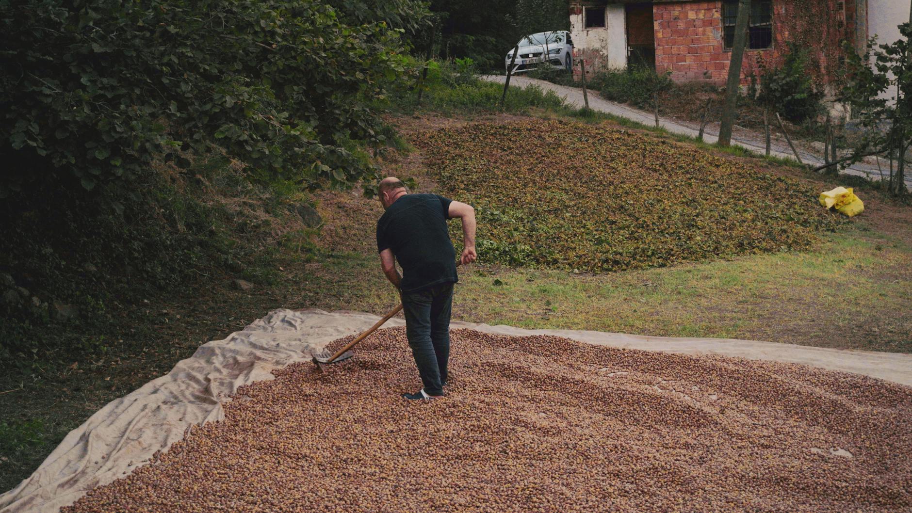 Ilustracja przedstawiająca zegar tykający na tle dokumentów podatkowych z logo Orzesza.